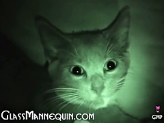 素人, イく瞬間, ティーン