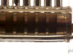 Americano, Tetona, Fetiche, Hd, Lesbiana, Maduro, Coño, Trio