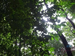 Braunhaarige, Aufs gesicht abspritzen, Freundin, Handjob, Im freien, Pov, Muschi, Nass