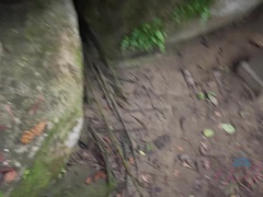 素人, ビーチ, フェラチオ, 彼女, アウトドア, 公共, オマンコ, いじめ