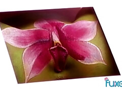 アナル, デカパイ, 女 人男 人, 淫乱熟女, アウトドア, 公共, レトロ, 三人