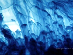 Любители, Большая жопа, Большие сиськи, Женское доминирование, Милф, Сиськи