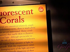 デカチン, ブロンド, Hd, アウトドア