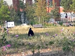 Красотки, Блондинки, Пальцем, Мастурбация, Оргазм, На природе, Бритые, Под юбкой