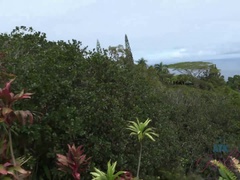 Blondine, Fingern, Küssen, Im freien, Zierlich, Pov, Titten, Nass