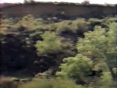 Знаменитости, Эксгибиционист, Забавное