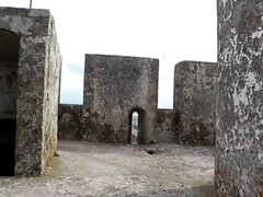 Amateur, Cul, Sucer une bite, Brunette brune, Faciale, Fait maison, De plein air, Chatte