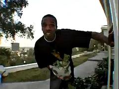 Минет, Чирлидеры, Семяизвержение, Межрасовый секс