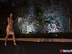 Blond, Bruinharig, Auto, Hardcore, Zoenen, Geschoren, Tatoeage, Tieten likken