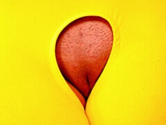 Gorgeous lady in yellow stockings Sage Axel rides on a big dick