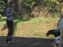 素人, ビーチ, 彼女, ピアス, ハメ撮り, オマンコ, 剃毛, オッパイの