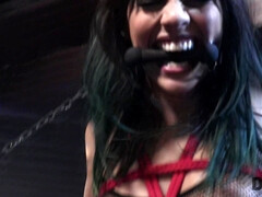 18 jahre, Arsch, Sadomasochismus, Braunhaarige, Hd, Piercing, Rau, Jungendliche (18+)