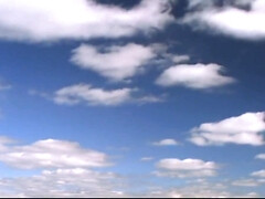 Amerikaans, Grote lul, Bruinharig, Schattig, Diep in de keel, Vingeren, Moeder die ik wil neuken, Tatoeage