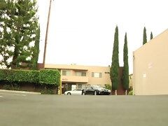 Culo, Tetas grandes, Mamada, Morena, Corridas, Sexo duro, Madres para coger, Estrella porno