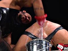 In den arsch, Arschlecken, Grosser schwanz, Dildo, Faustfick, Schwul, Masturbation, Spielzeuge