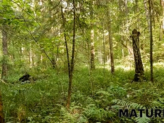 Schönheit, Oma, Hd, Muschi, Rotschopf, Russisch, Rasiert, Sohn