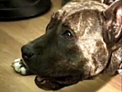 Braunhaarige, Doppelpenetration, Französisch, Vintage