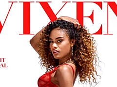 Hundestellung, Schwarz, Interrassisch, Dürr