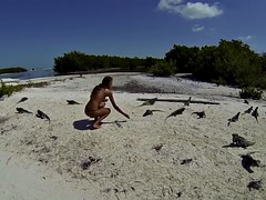 topless russian swimming in tropical sea